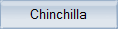 chinchilla