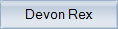 devon rex
