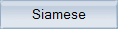 siamese